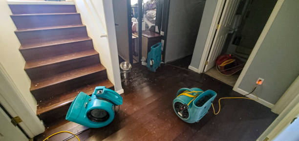 Best Sewage cleanup and water damage restoration  in Four Bridges, OH