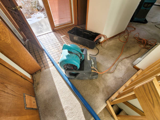 Reliable OH Water damage restoration Solutions