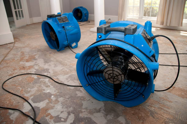 Best Water damage restoration services  in Four Bridges, OH
