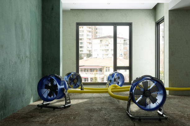 Best Water damage restoration near me  in Four Bridges, OH