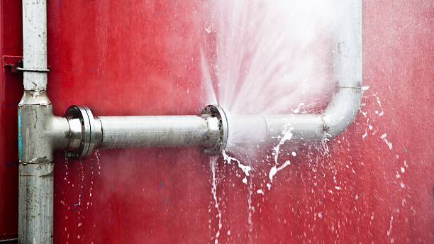 Best Water damage cleanup near me  in Four Bridges, OH